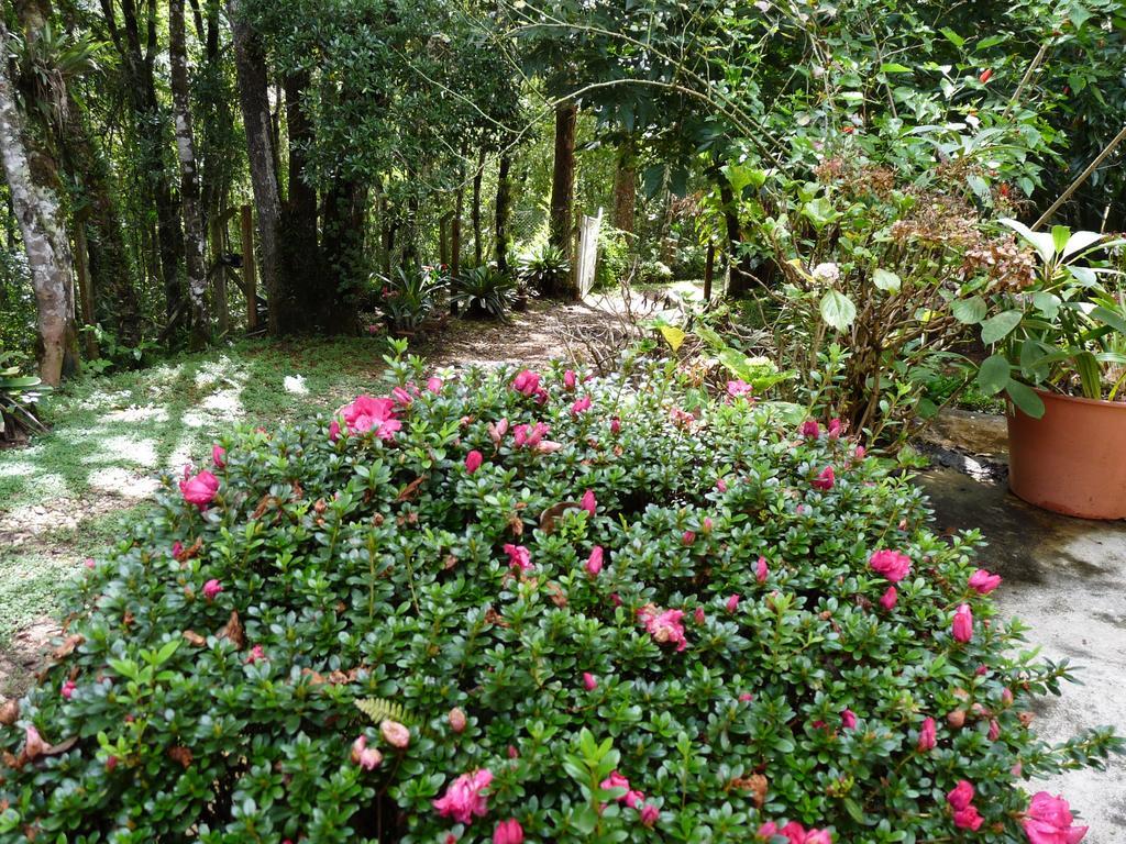 Aromas Da Serra II Campos do Jordão Exteriér fotografie